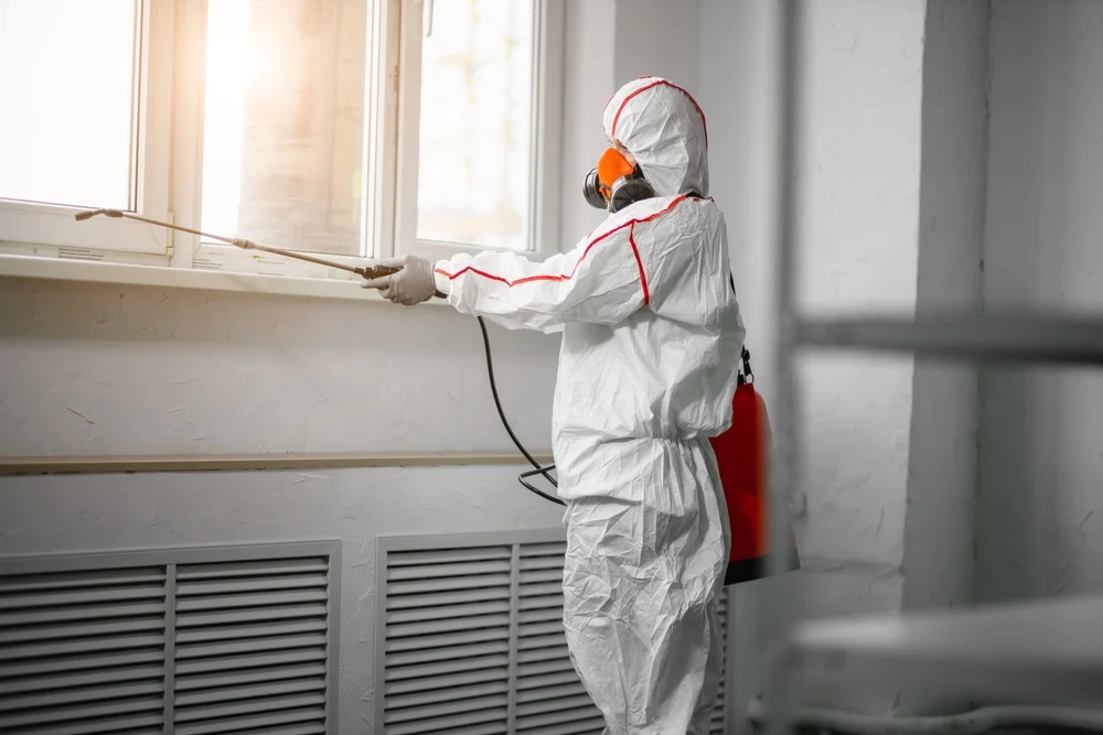 Professional mold remediation services in Goodlettsville, TN